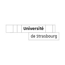 Partner university 8 logo